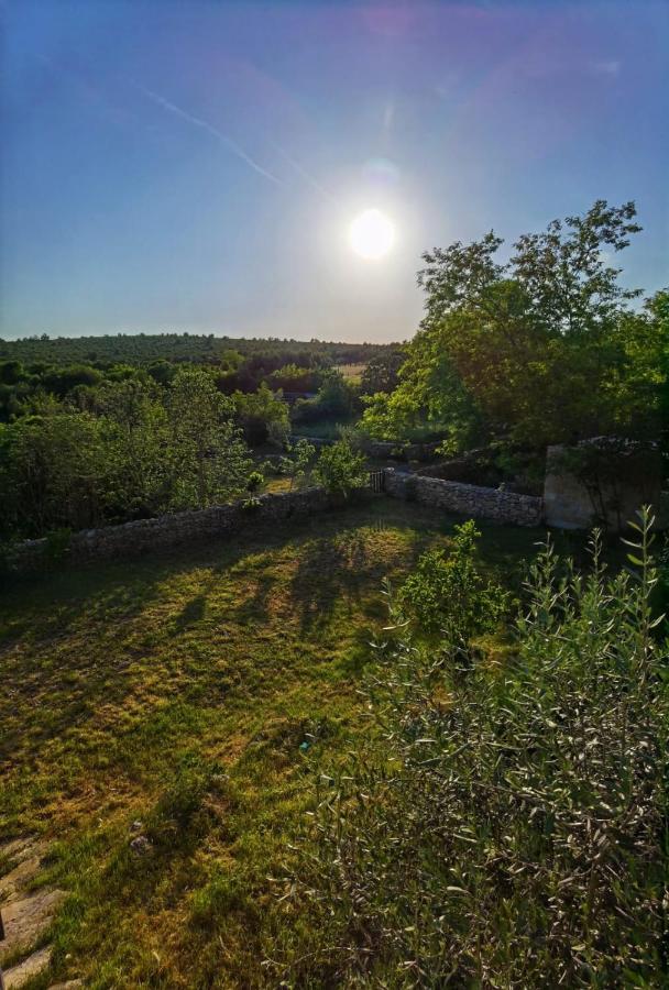 Villa Dvori Dida Mile Sveti Petar  Luaran gambar