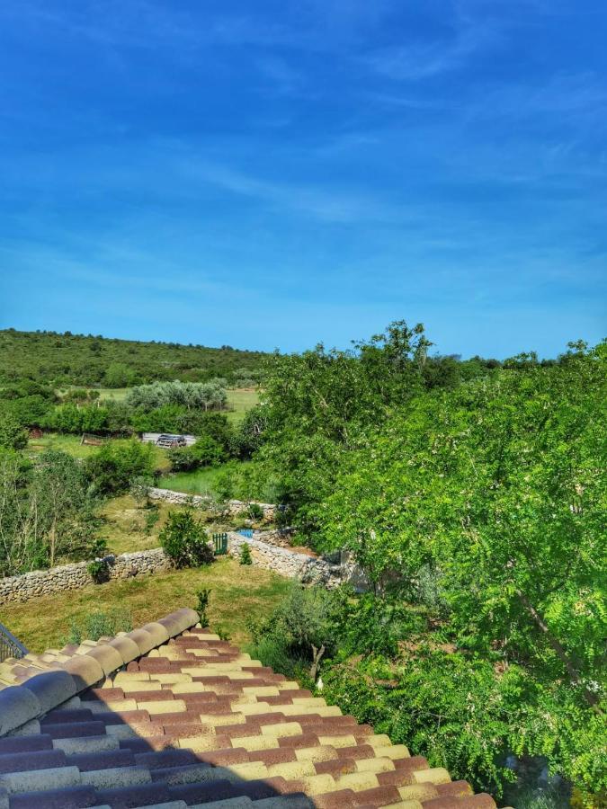 Villa Dvori Dida Mile Sveti Petar  Luaran gambar