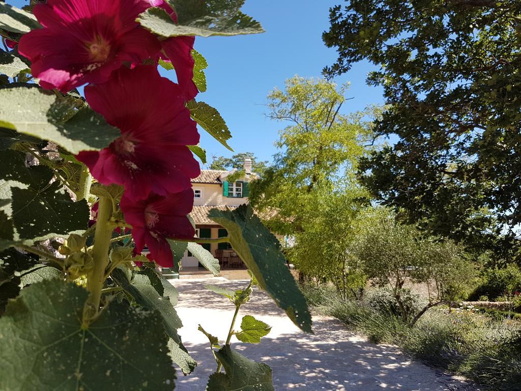 Villa Dvori Dida Mile Sveti Petar  Luaran gambar